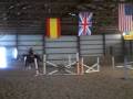 videos de My first leased horse