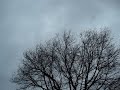 Storm
