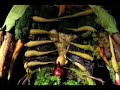 Vegtables Stand Up
