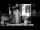 Hampstead Pals