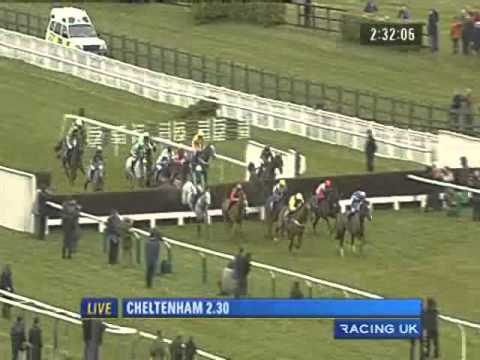 paddy power cheltenham