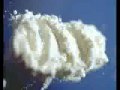 A Cocaine Story (KOKA - A BULGARIAN KOKAIN STORY)