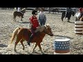 PonyparkCity Collendoorn Harley1