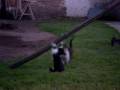 videos de Los mellizos traviesos