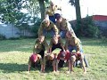 trzebnica-xd.html