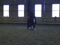 Zorro 0001
