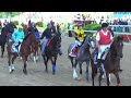 2008 PREAKNESS STAKES WINNER - BIG BROWN