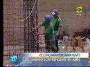 Per� avanza con crecimiento econ�mico sostenido 2008