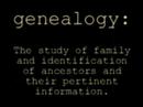 McConney Genealogy & You