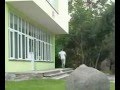 Demo
