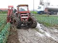 same saturno harvesting leek almost bogged same saturno harvesting leek almost bogged