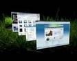 Lepigiste.fr - Teaser 1