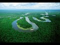 Deforestation PSA