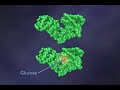 RNA as an Enzyme (1-6)