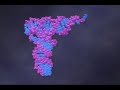 RNA as an Enzyme (1-6)