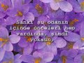 Sevgiliye... (G�rmeden Sevebilenlere)