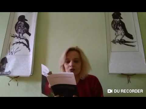 video-show