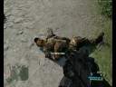Crysis on 8800GT...