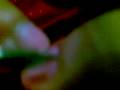videos de how to manicure a pregy.....