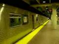 Miami Metrorail Train