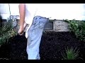 Planting an easy vegetable garden Planting an easy vegetable garden