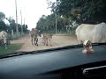 Thailand Traffic
