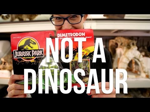 Dimetrodon is Not A Dinosaur