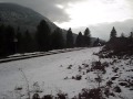 High Quality CP 5759 near Poupore BC