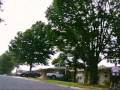 (uploaded by smoedog)&nbsp;MiniDV on HPI Blitz