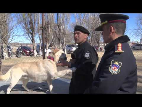 Ultimas Noticias Ultimas Noticias
