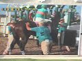 Zenyatta- the undefeated filly Zenyatta- the undefeated filly