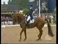 Horse Riding: It\