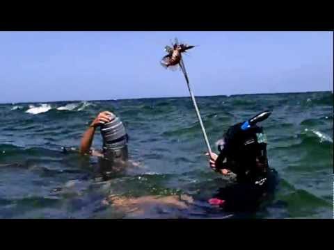 YouTube的預覽圖片