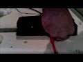 Freaker Wah Bass Clean Freaker Wah Bass Clean