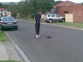 barbie v bitumen