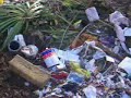 Contaminaci�n lago Panguipulli