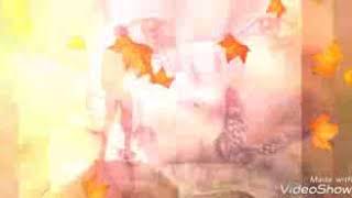 مخيم شاتيلا