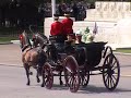 the queen takes the salute at her birthday parade in 2008. the 1st battalion, welsh guards troops their colour. also present are the duke of edinburgh (colonel, grenadier guards), the prince of wales (colonel, welsh guards), the duchess of cornwall, the earl of wessex, the countess of wessex, the princess royal (colonel, blues and royals and gold stick in waiting), the duke of gloucester, the duchess of gloucester, and the duke of kent (colonel, scots guards).