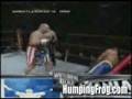 Butterbean Knockouts