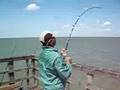 Fishing in Texas City