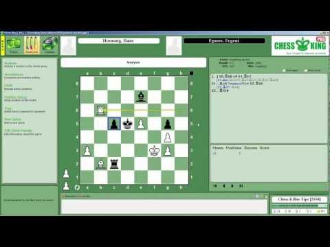 chess knight