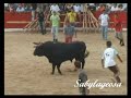 Capeia Arraiana 2007