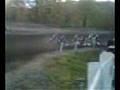 videos de malvern mx