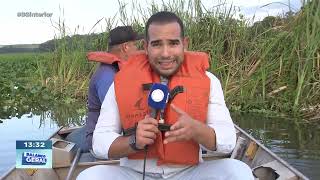 Aguapés em Ibitinga: situação demanda ações urgentes