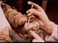 This is a story of the lives of primates used in chemical/pharmaceutical experiments. All credit goes to Androclestipster for walking me thru this process and the 