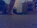 Damo Shuffling Damo Shuffling