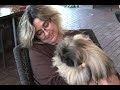 The 'ZIGGY' Blog Episode 42