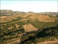 Introducing Sausalito