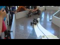 MINDS-i Robotics Challenge 2012