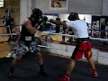 Fres Oquendo v Andre Arlovski
